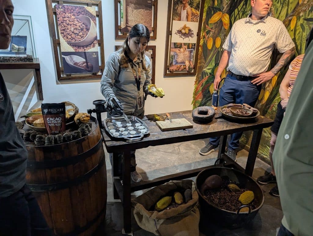 intinan equator museum cocoa pod tasting