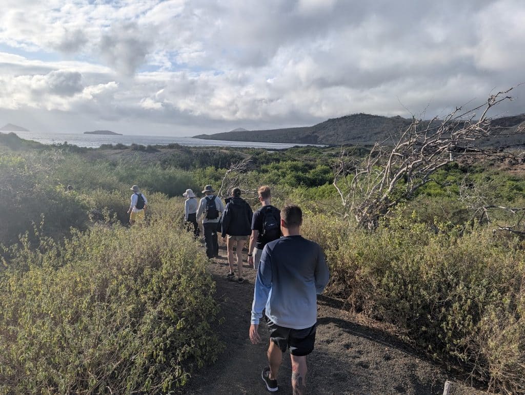 galapagos cormorant beach hike