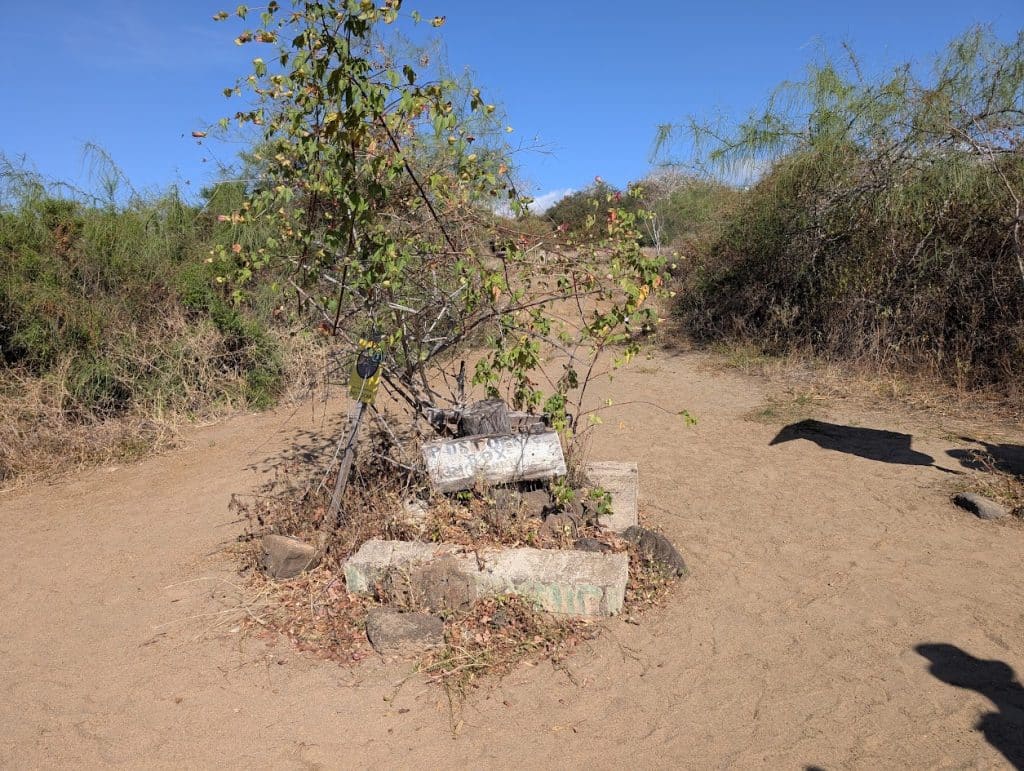galapagos floreana island post office bay old mailbox
