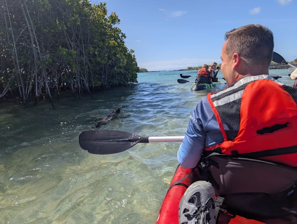 galapagos post office pay kayak with sea lion