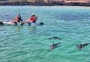 kayakers with sea lions in galapagos