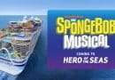 spongebob musical header