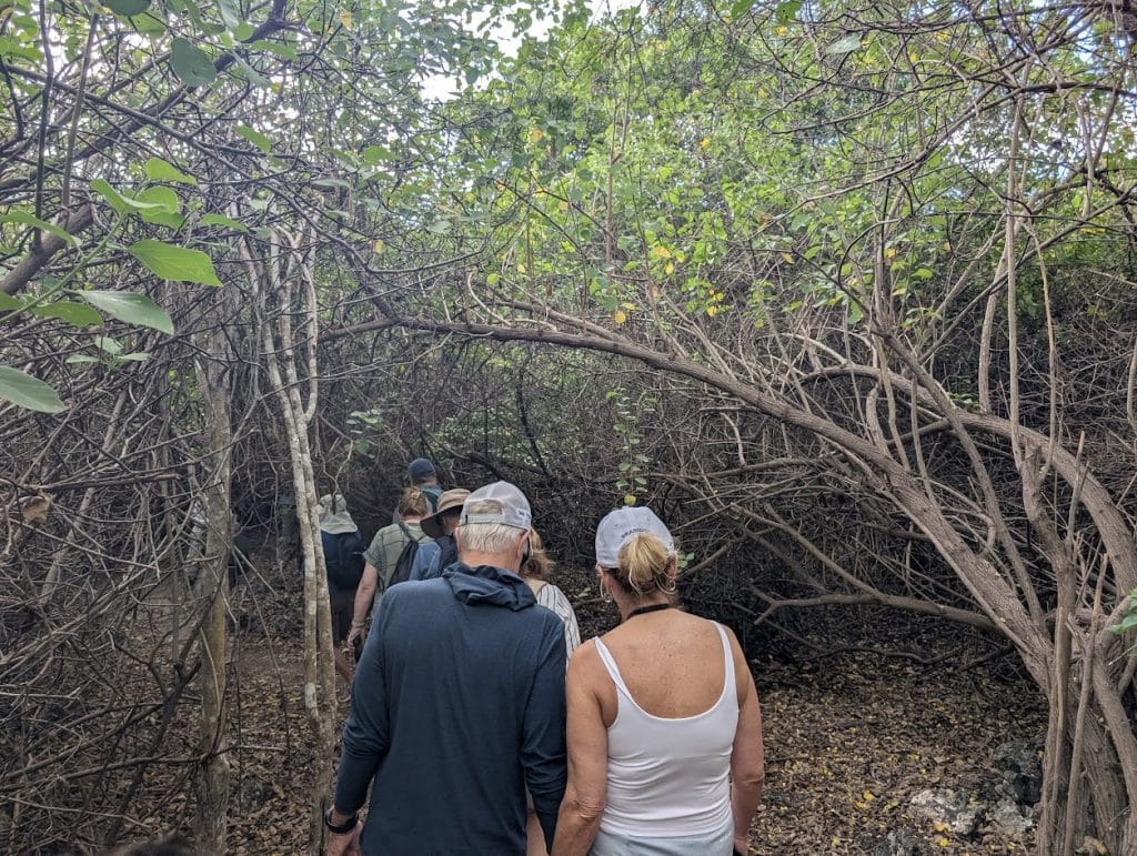 hiking on urbina bay